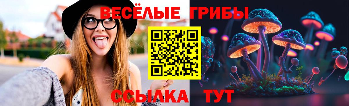 цена   Вход с VPN  Гусь-Хрустальный  Галлюциногенные грибы Psilocybine cubensis 